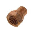 1/4″ Copper x Female Adapter