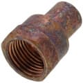 1/2″ FTG x Female Street Adapter