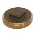 2″ Brass Raised Head Cleanout Plug